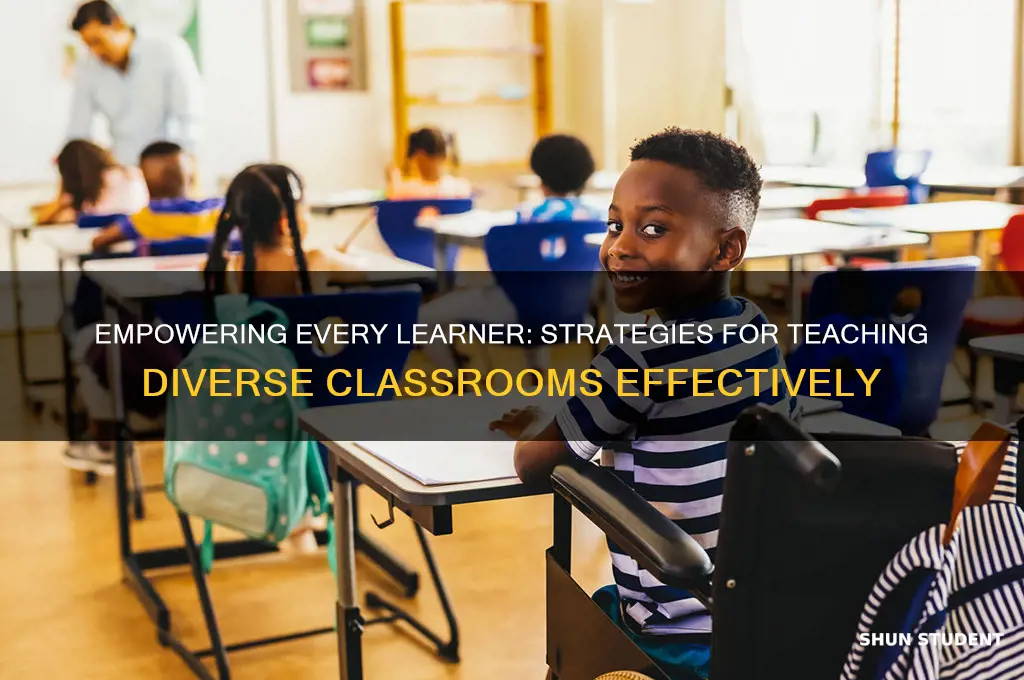 how to teach diverse students