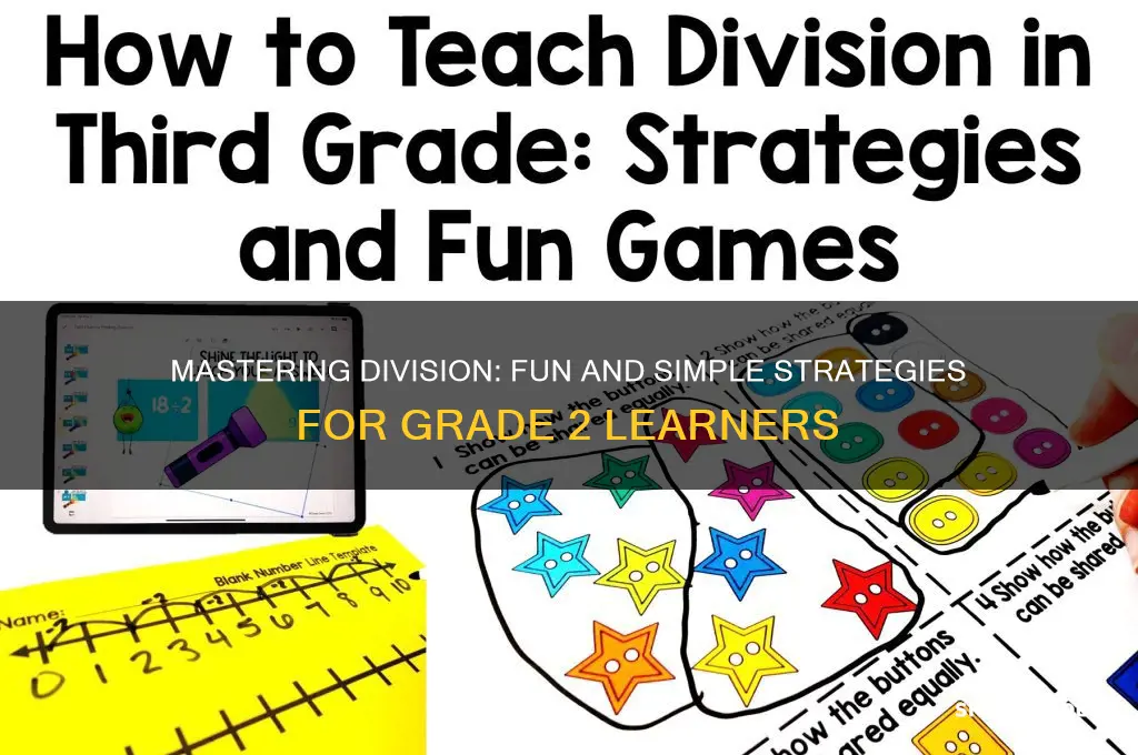 how to teach division to grade 2 students