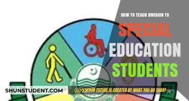 Effective Strategies for Teaching Division to Special Education Students