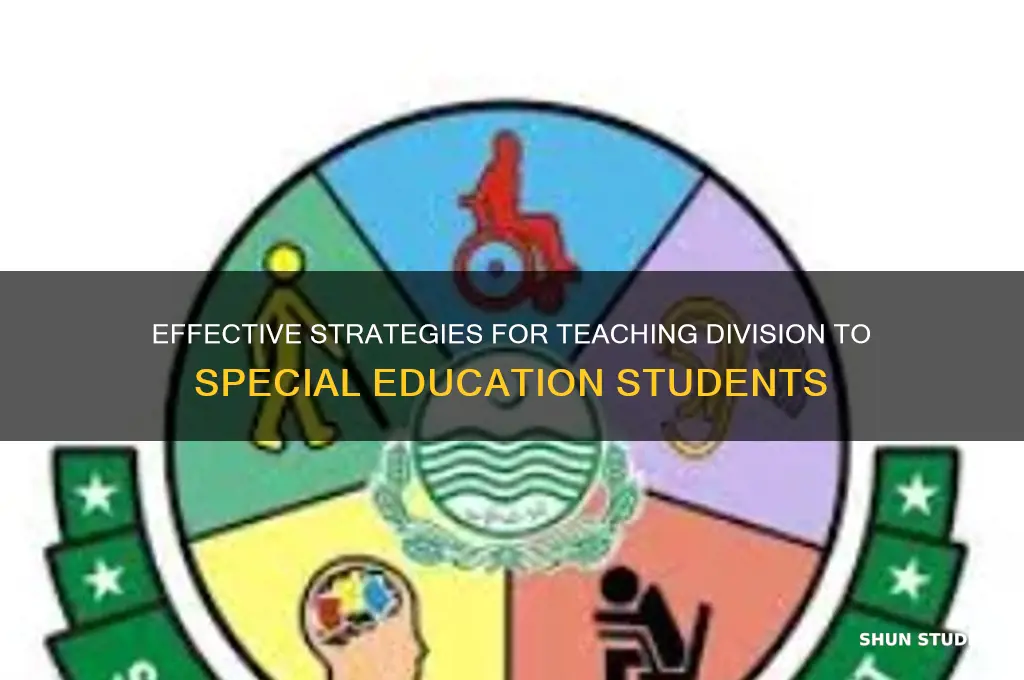 how to teach division to special education students