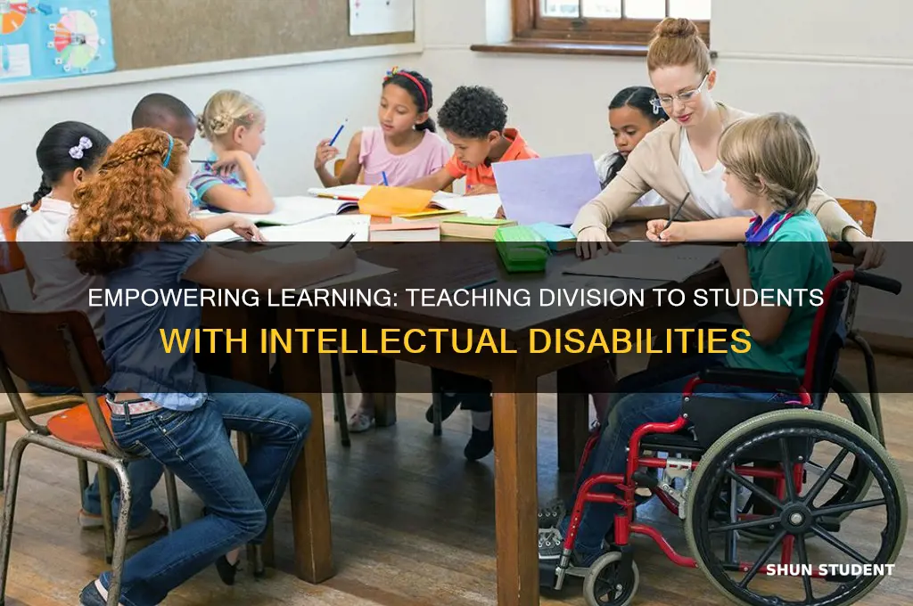 how to teach division to students with mental retardation