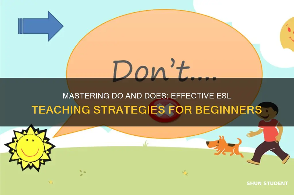 how to teach do and does to esl students