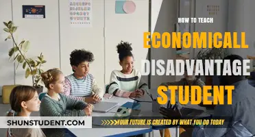 Empowering Economically Disadvantaged Students: Effective Teaching Strategies for Success