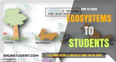 Engaging Strategies for Teaching Ecosystems to Curious Young Minds
