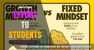 Cultivating a Growth Mindset: Teaching Students the Power of Effort