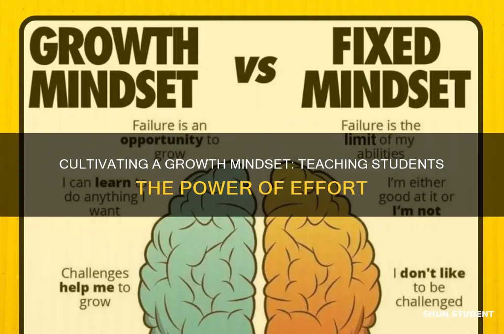 how to teach effort to students