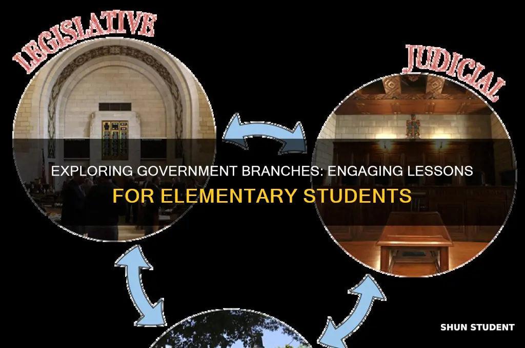 how to teach elementary students about different branches of gov