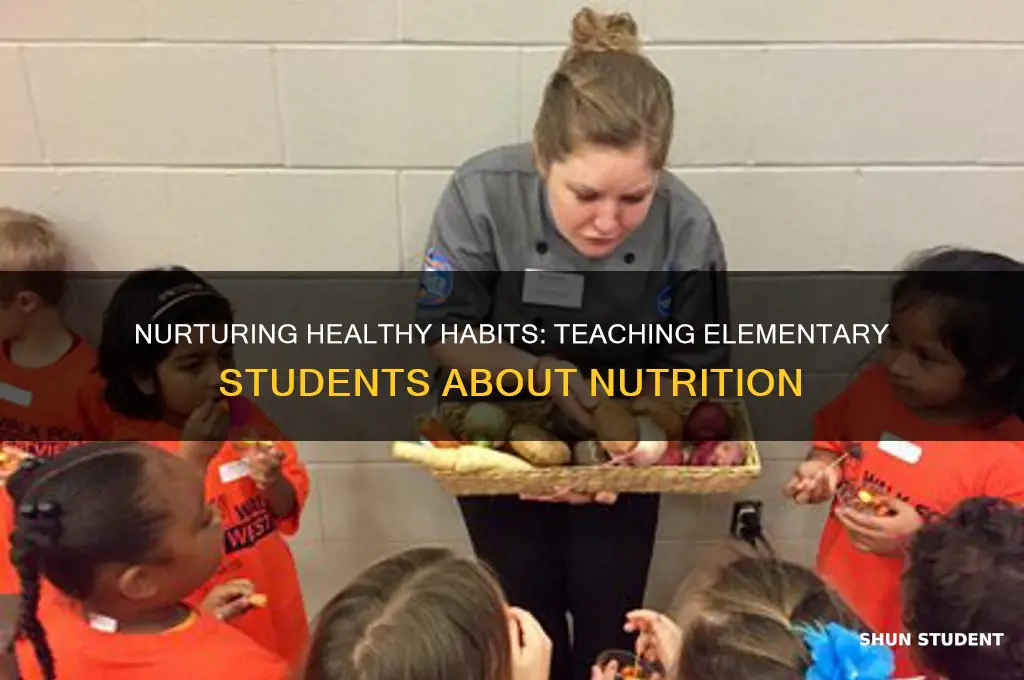 how to teach elementary students about nutrition