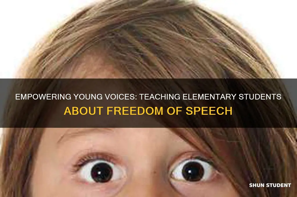 how to teach elementary students about the freedom of speech