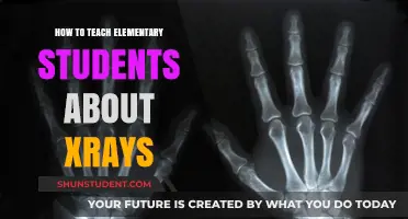 Teaching X-Rays to Elementary Students: Fun and Engaging Strategies