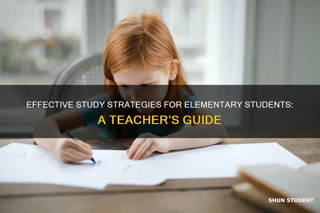 how to teach elementary students how to study