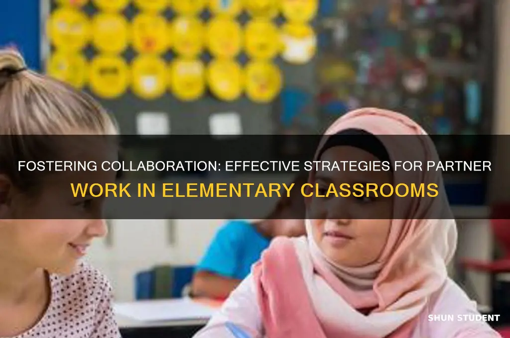 how to teach elementary students to work with a partner