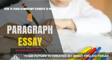 Mastering Essay Writing: A Step-by-Step Guide for Elementary Students