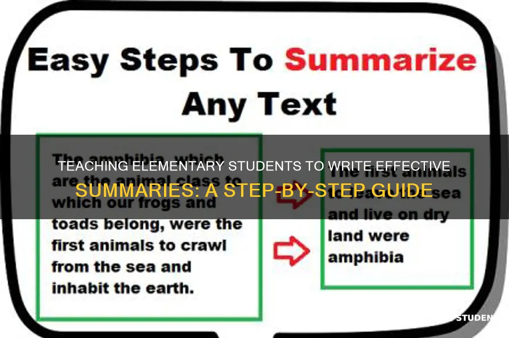 how to teach elementary students to write a summeary