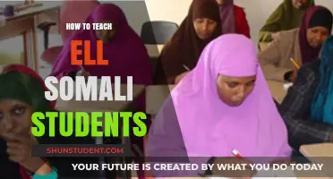 Empowering Somali ELL Learners: Effective Teaching Strategies for Success