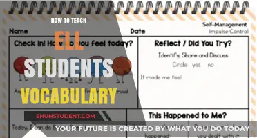 Effective Strategies for Teaching Vocabulary to ELL Students