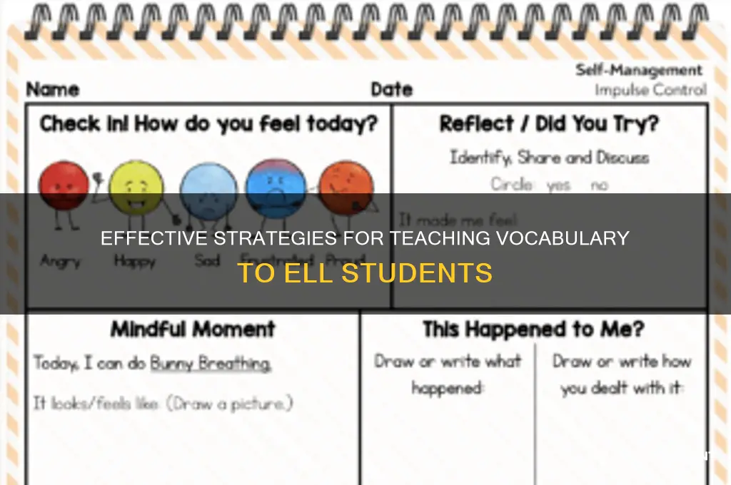 how to teach ell students vocabulary