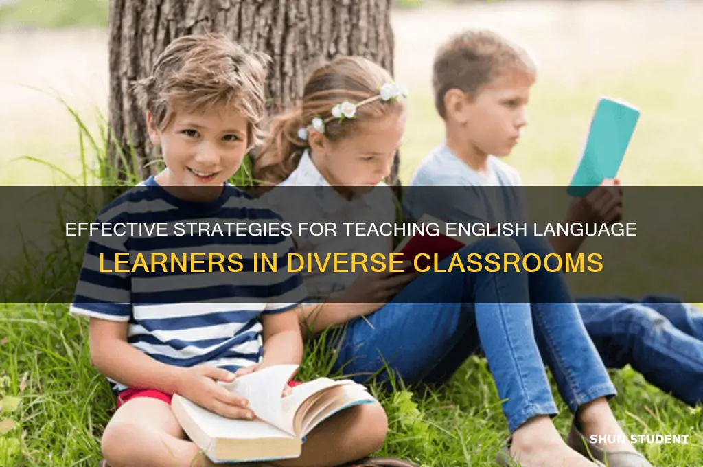 how to teach ell students