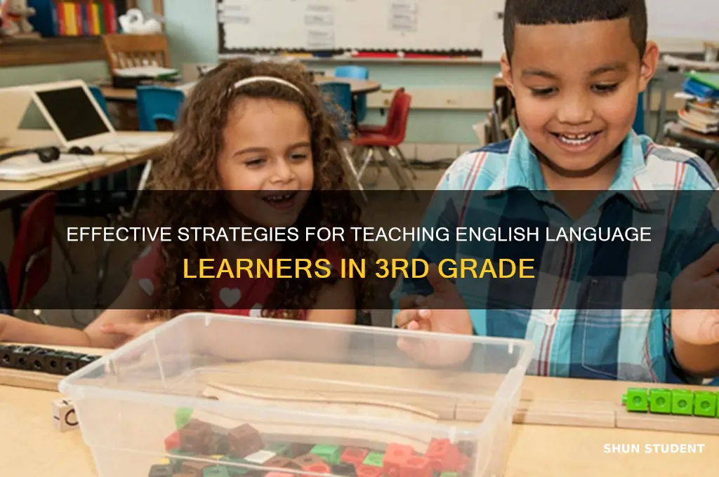how to teach els students in 3rd grade