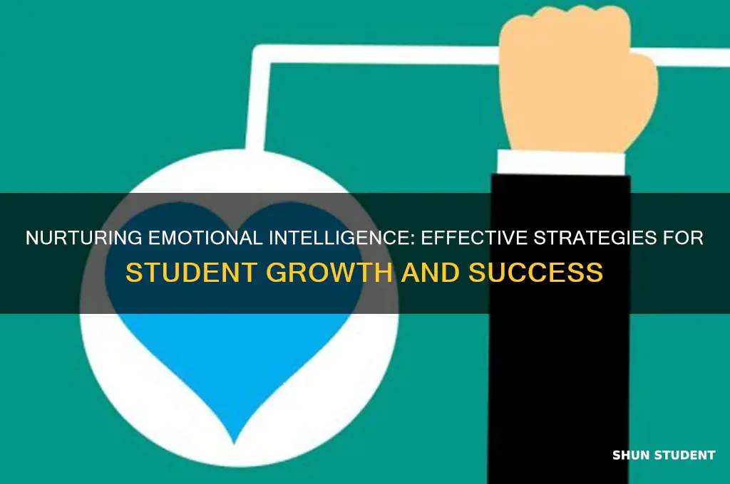how to teach emotional intelligence to students