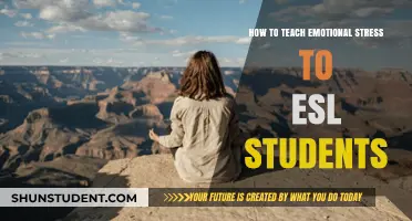 Teaching Emotional Stress to ESL Students: Effective Strategies and Techniques