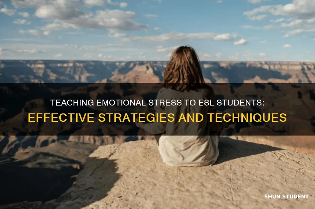 how to teach emotional stress to esl students