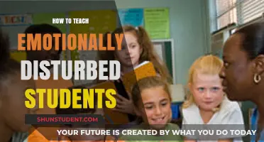 Empowering Educators: Strategies for Teaching Emotionally Disturbed Students