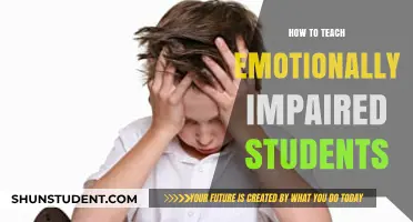 Empowering Emotionally Impaired Students: Effective Teaching Strategies for Success