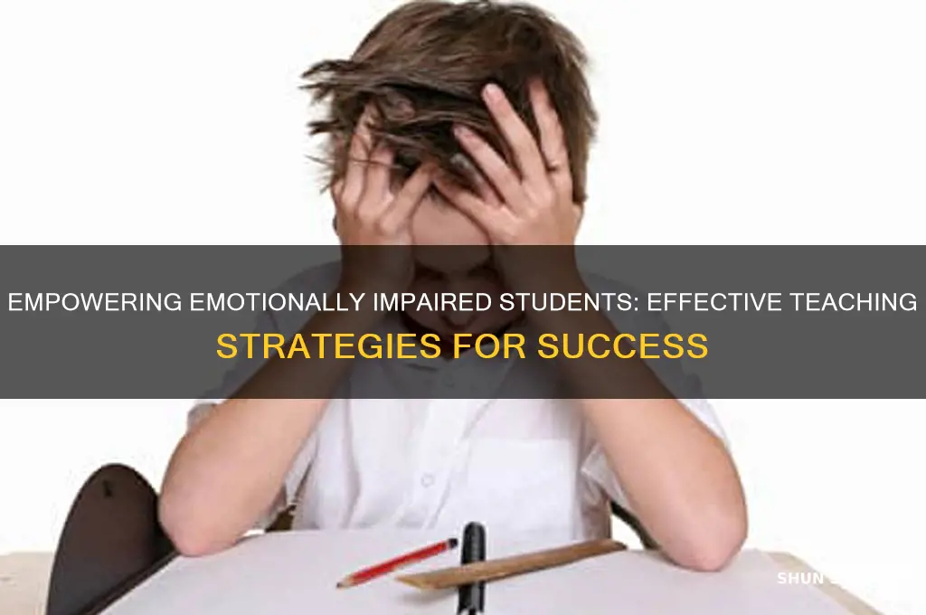 how to teach emotionally impaired students