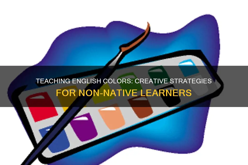 how to teach english colours to non english students