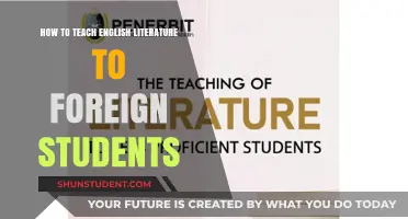 Effective Strategies for Teaching English Literature to Foreign Students