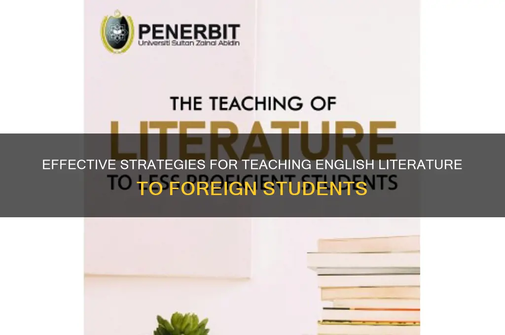 how to teach english literature to foreign students