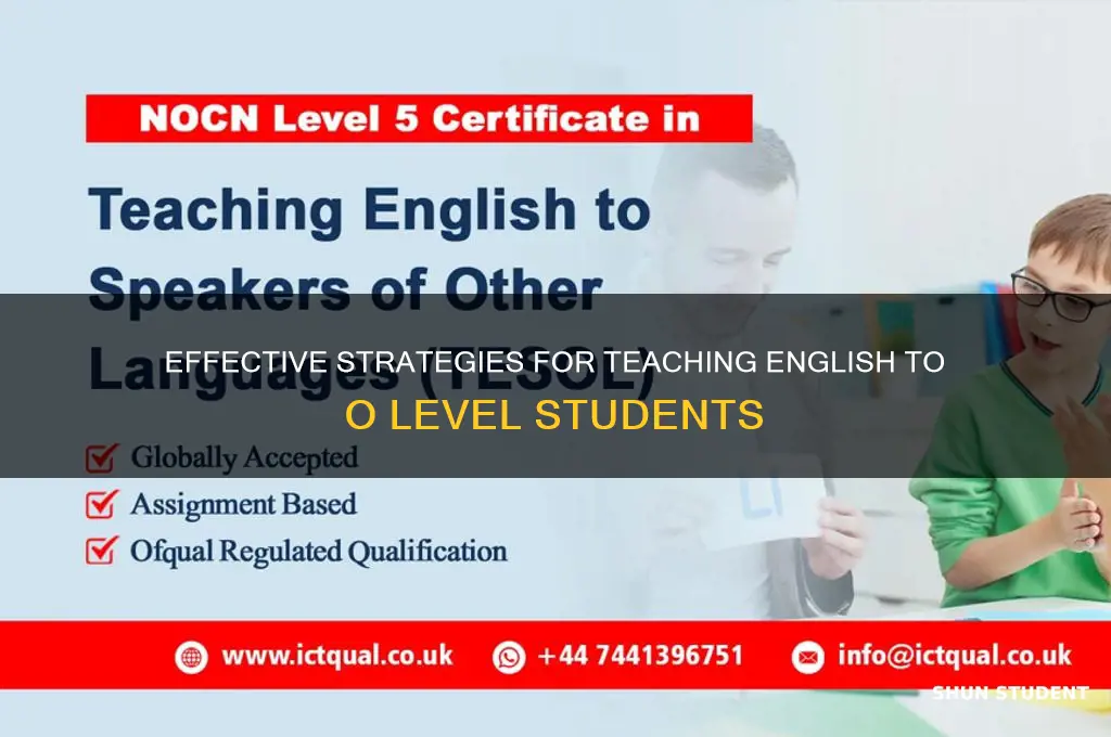 how to teach english to o level students