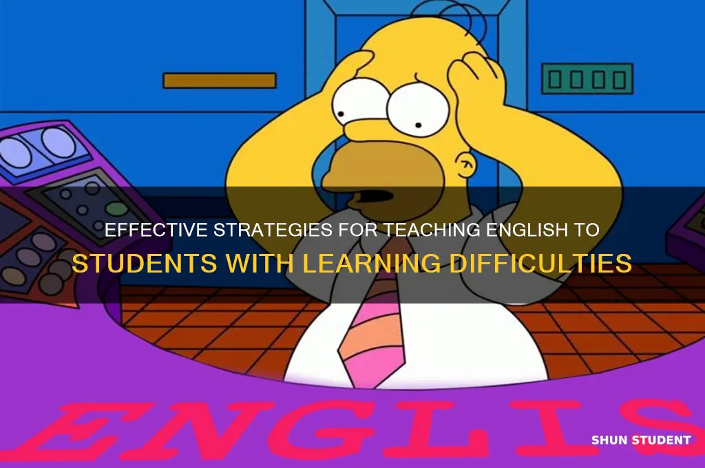 how to teach english to students with learning difficulties