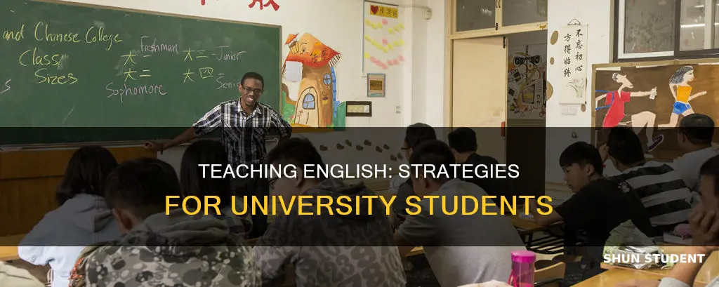 how to teach english to university students