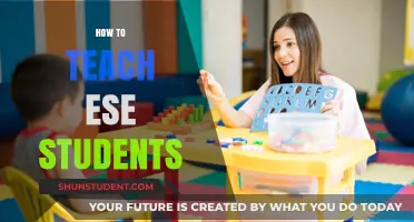 Effective Strategies for Teaching ESE Students: A Comprehensive Guide