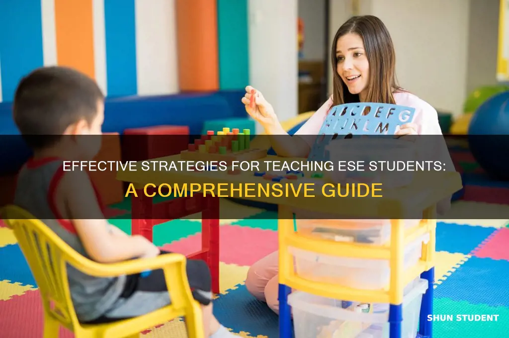 how to teach ese students