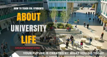 Navigating University Life: A Guide for ESL Students