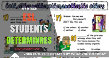 Effective Strategies for Teaching Determiners to ESL Learners
