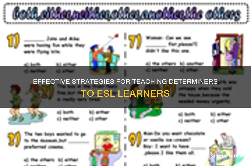 how to teach esl students determinres