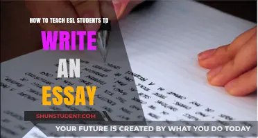 Effective Strategies for Teaching ESL Students Essay Writing Skills