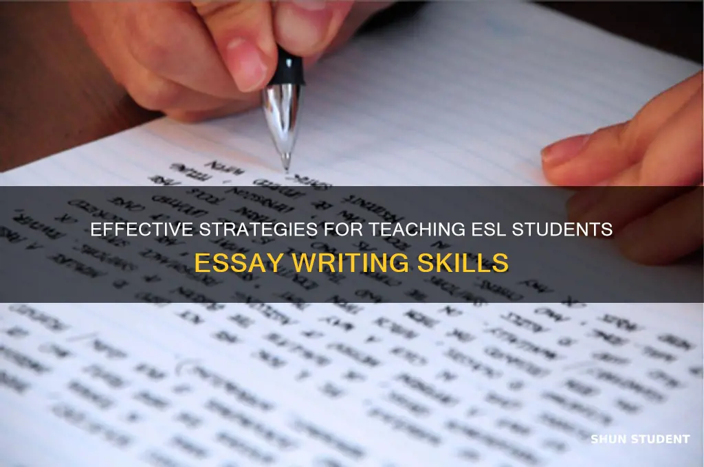 how to teach esl students to write an essay