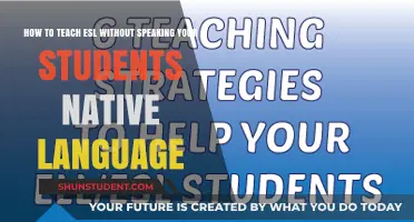 Mastering ESL Teaching: Strategies to Communicate Without Native Language