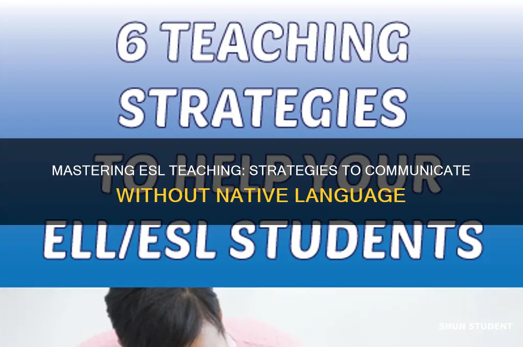 how to teach esl without speaking your students native language
