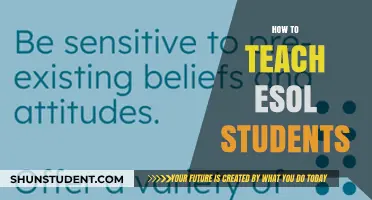 Effective Strategies for Teaching ESOL Students: A Comprehensive Guide