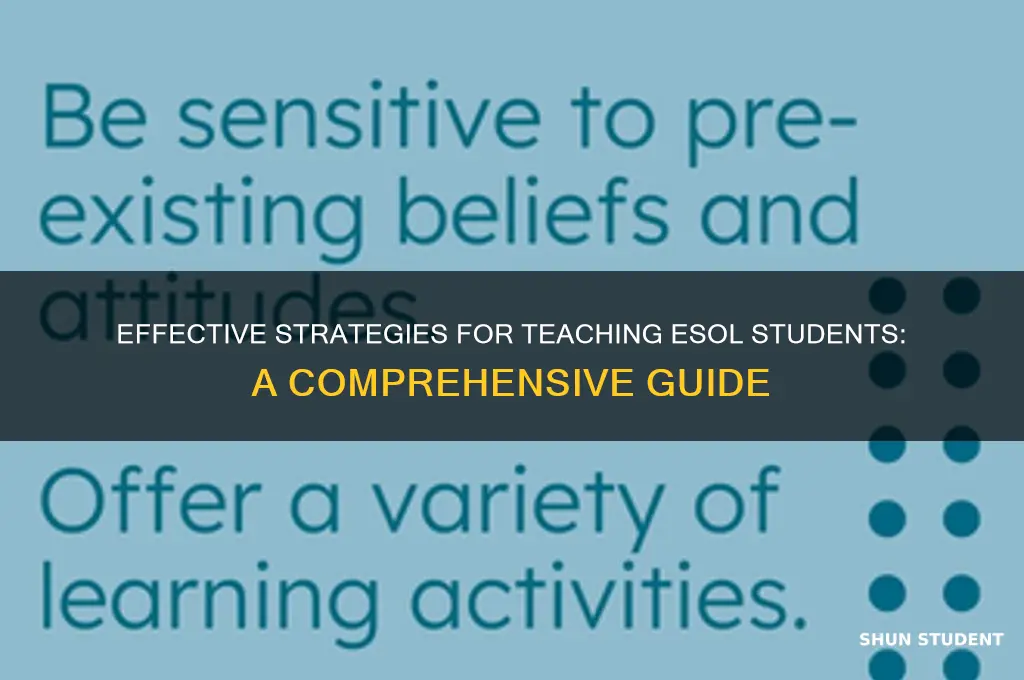 how to teach esol students