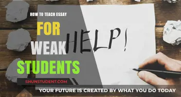Empowering Struggling Students: Effective Strategies for Teaching Essay Writing