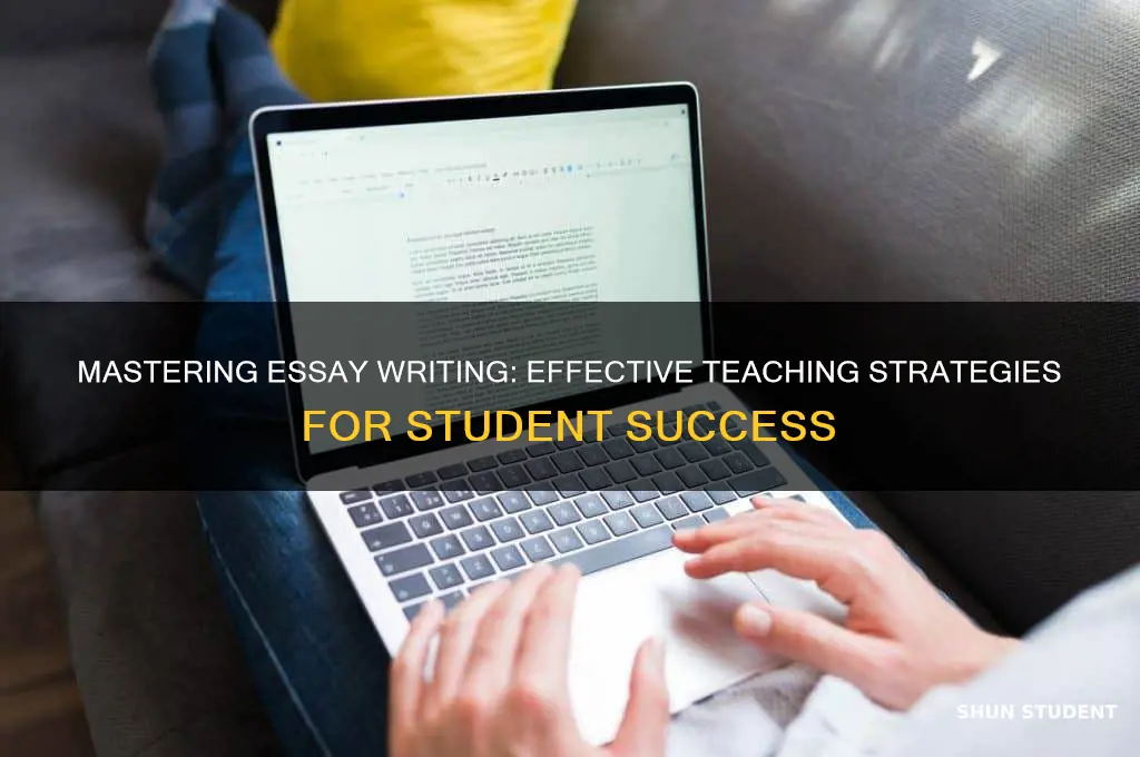 how to teach essay writing to students