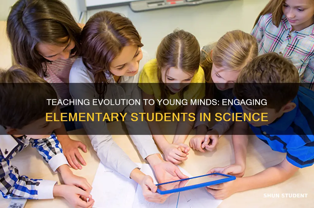 how to teach evolution to elementary students