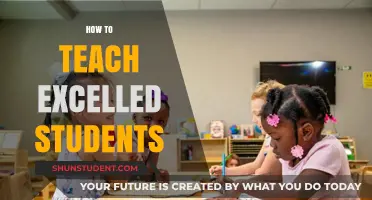 Nurturing Excellence: Strategies for Teaching High-Achieving Students Effectively